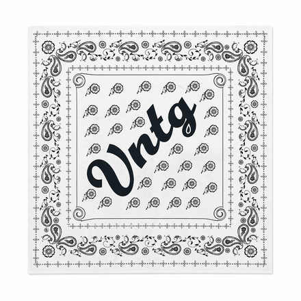 VNTG PAISLEY Scarf